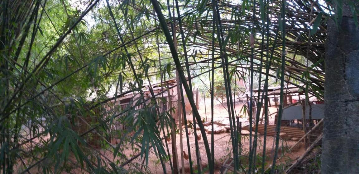 Pousada Sirius São Roque de Minas المظهر الخارجي الصورة